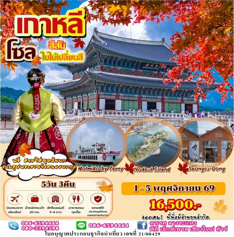 ทัวร์เกาหลี โซล สีสันใบไม้เปลี่ยนสี บินตรงเชียงใหม่ 5วัน 3คืน